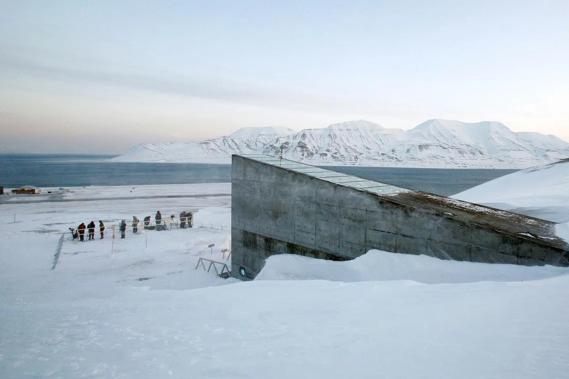The Svalbard Global Seed Vault has seed samples from nearly every country in the world.