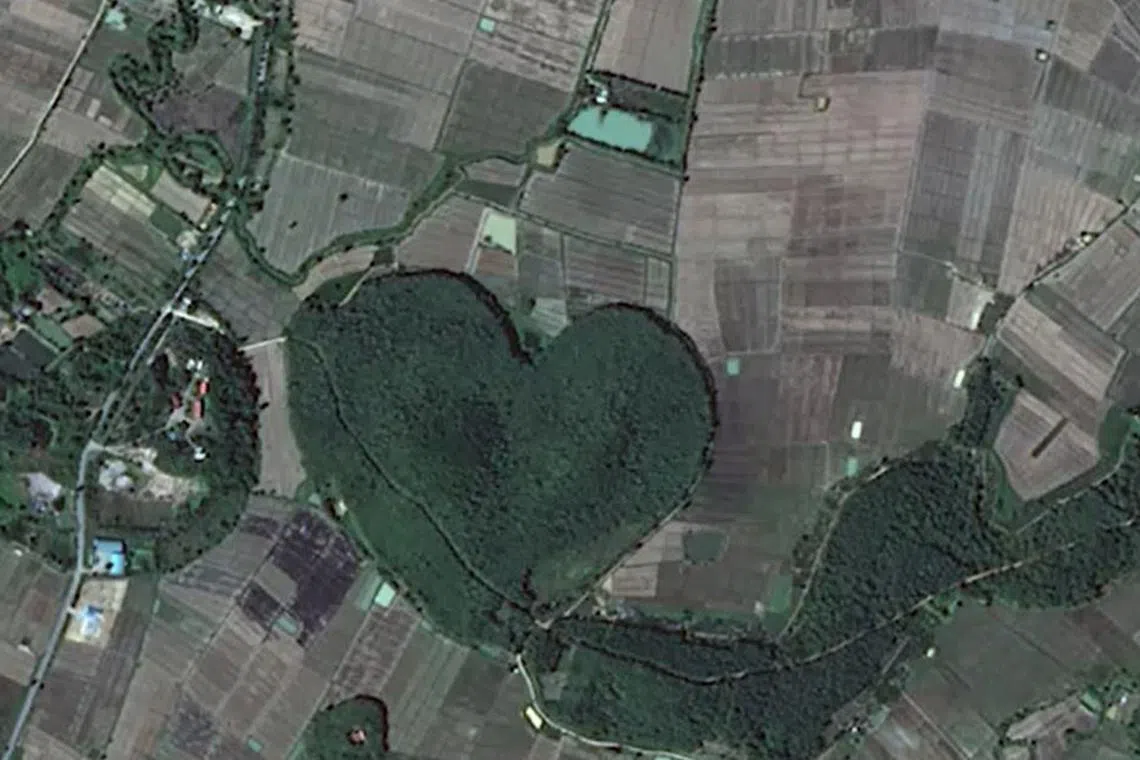 The forest serves as a “green heart” providing clean air for the remote Santitham village. 