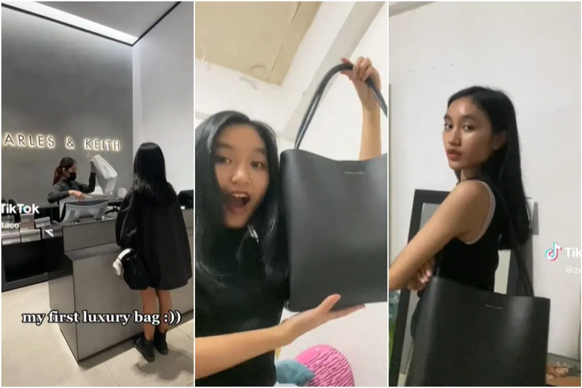 TikTok user Zohtaco's video of her calling her Charles & Keith bag a "luxury bag" was mocked by netizens.