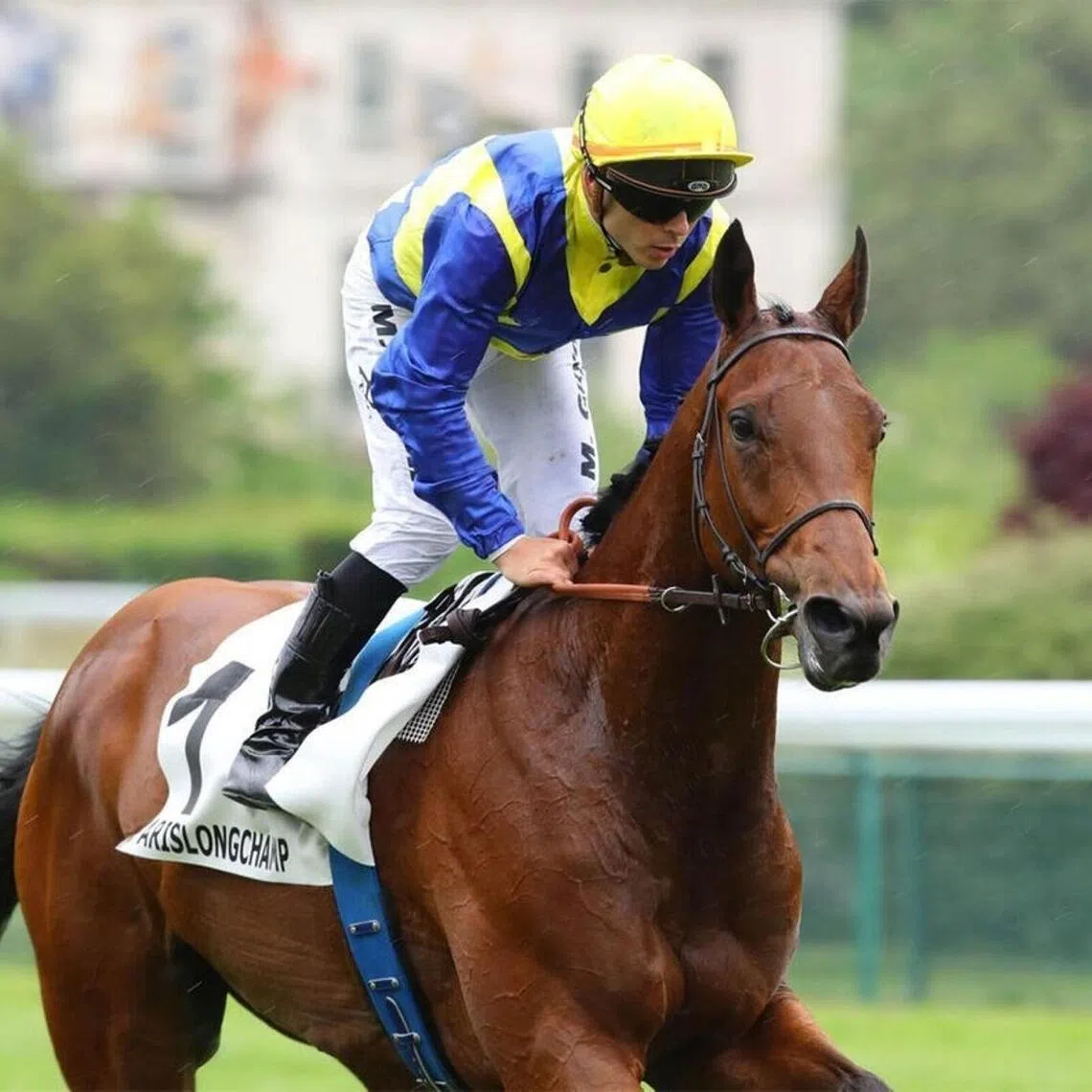 Goliath (Maxime Guyon) on the way to the barriers at one of his earlier wins in France, which was the Group 3 Prix d'Hedouville (2,400m) at ParisLongchamp on May 5, 2024. 
PHOTO: SCOOPDYGA