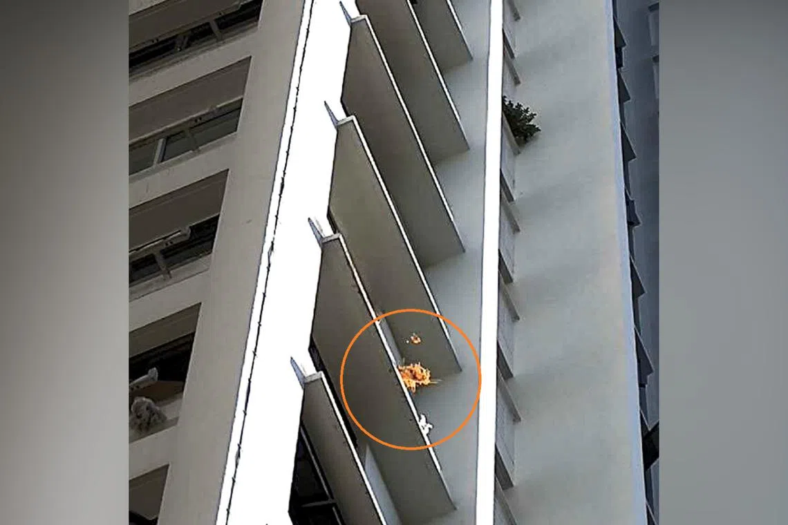 The two cases are also first-time offenders of high-rise littering.
