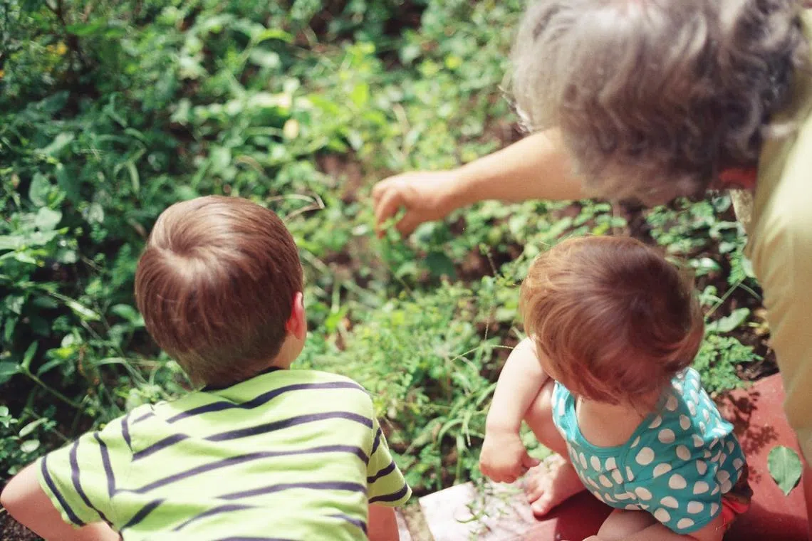 The decision followed an appeal by the parents of two children against the decision of a juvenile court in Milan. 