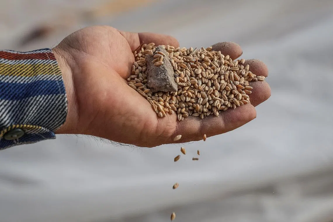 Slovakia’s agriculture ministry said it had agreed with Ukraine to set up a licensing system for trading in grains.