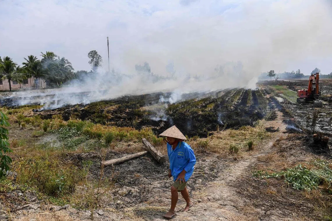This photo taken on February 28, 2023 shows a farmer walking past burning straw stubble in a rice field in Can Tho. - Rice -- Asia's principal staple -- is to blame for around 10 percent of global emissions of methane, a gas that over two decades traps about 80 times as much heat as carbon dioxide. (Photo by Nhac NGUYEN / AFP) / To go with "VIETNAM-CLIMATE-METHANE-RICE,FOCUS' by Tran Tri Minh Ha and Alice Philipson