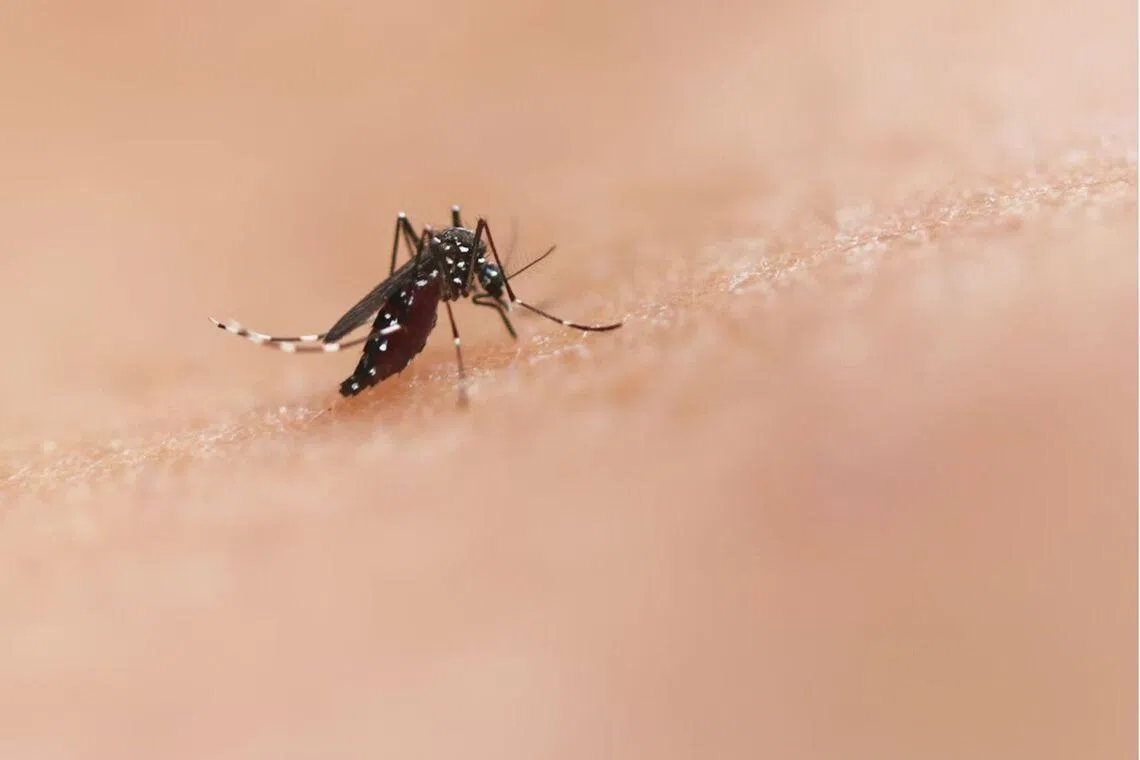 Why are some people mosquito magnets? Clues are emerging