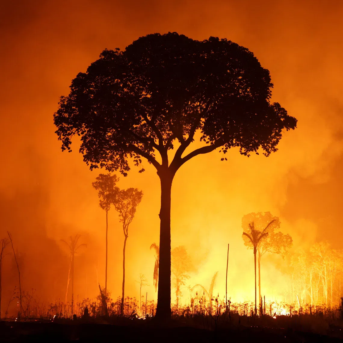 Earth’s most important ecosystems are close to their tipping points, said Johan Rockstrom, director of the Potsdam Institute for Climate Impact Research, on Oct 20, at the Reuters Sustainability Europe conference.