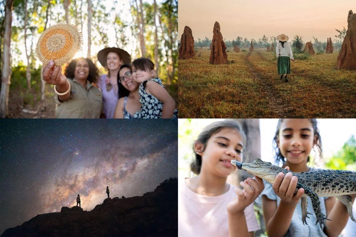From cultural tours and wildlife encounters to dramatic outback landscapes, the Northern Territory offers experiences that range from adventurous to deeply immersive.
