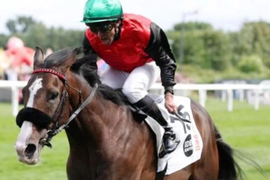 Dardanos (Wladimir Panov) causing an 84-1 shock in the Group 1 Deutsches Derby (2,400m) in Hamburg on July 5.

PHOTO: WETTSTAR.DE/MARC RUHL