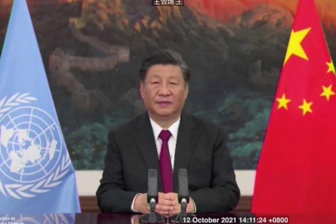 Originally set to be held in China’s south-western city of Kunming, COP15 was relocated because of tough zero-Covid curbs. 