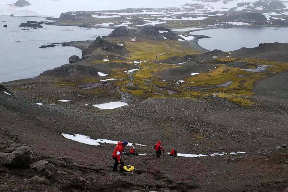 FILE PHOTO: Scientists from the University of Chile collect organic material as they look for a bacteria discovered in Antarctica,  January 13, 2019. Picture taken January 13, 2019. Courtesy of University of Chile/Handout via REUTERS /File Photo