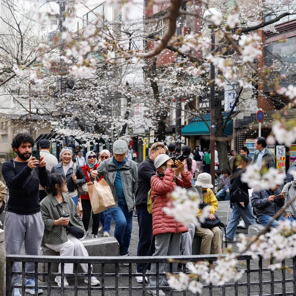 Tourists take photos of blooming cherry blossoms in Kyoto, Japan, on March 28.