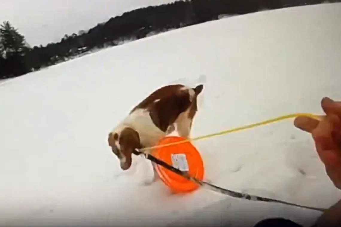 Ruby being given a rescue disc by a Michigan police officer to help pull its owner out of the freezing water.