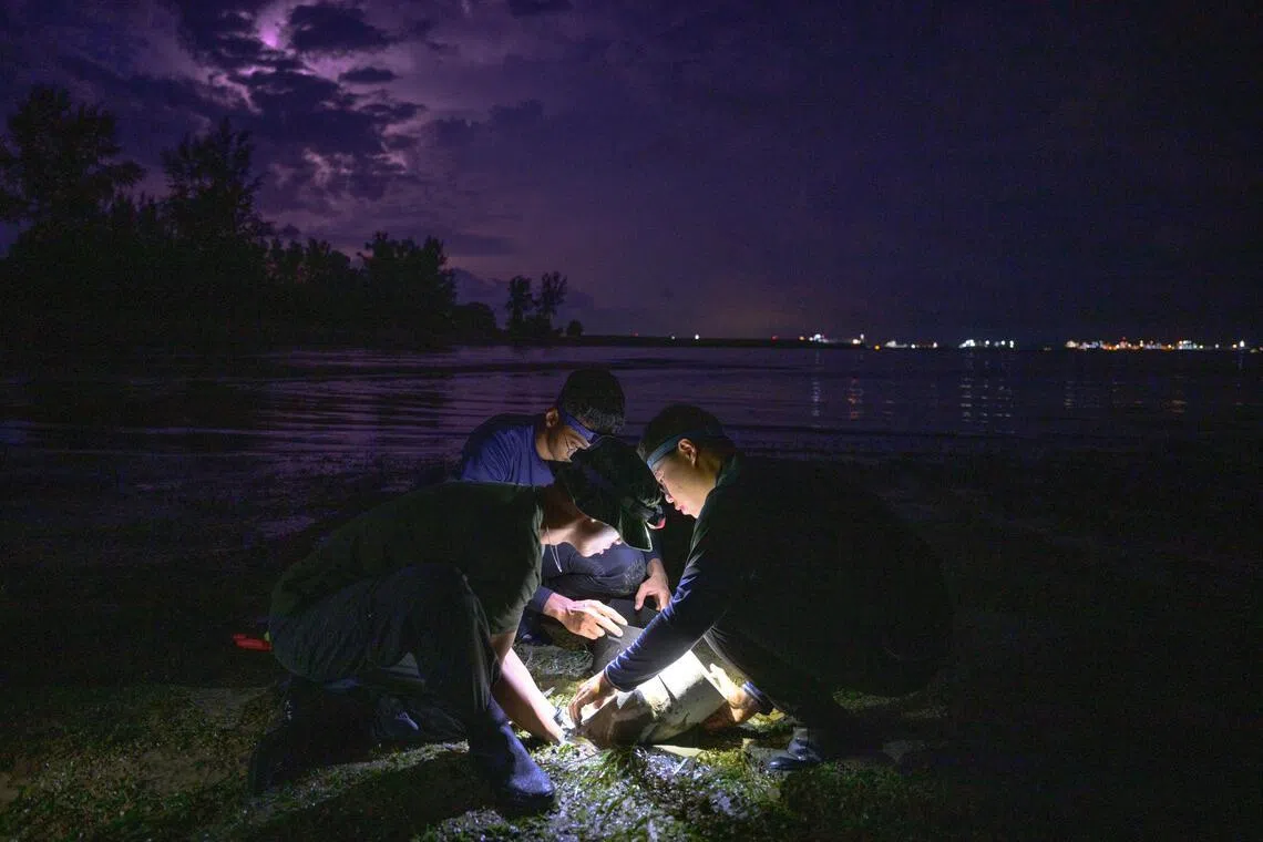 Singapore will establish a new marine science research centre supported by a $60 million fund.