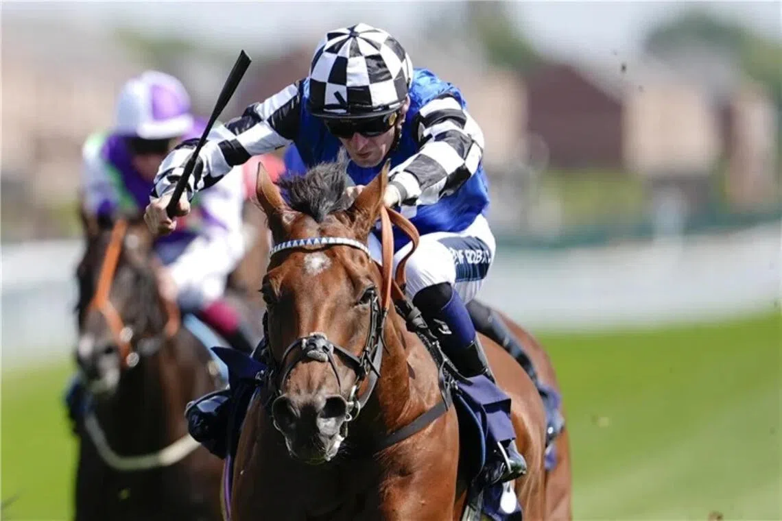 Wine Dark Sea - Wine Dark Sea

PHOTO:  RACING AND SPORTS
