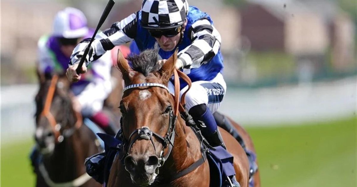 Lane positive about Wine Dark Sea in Cup