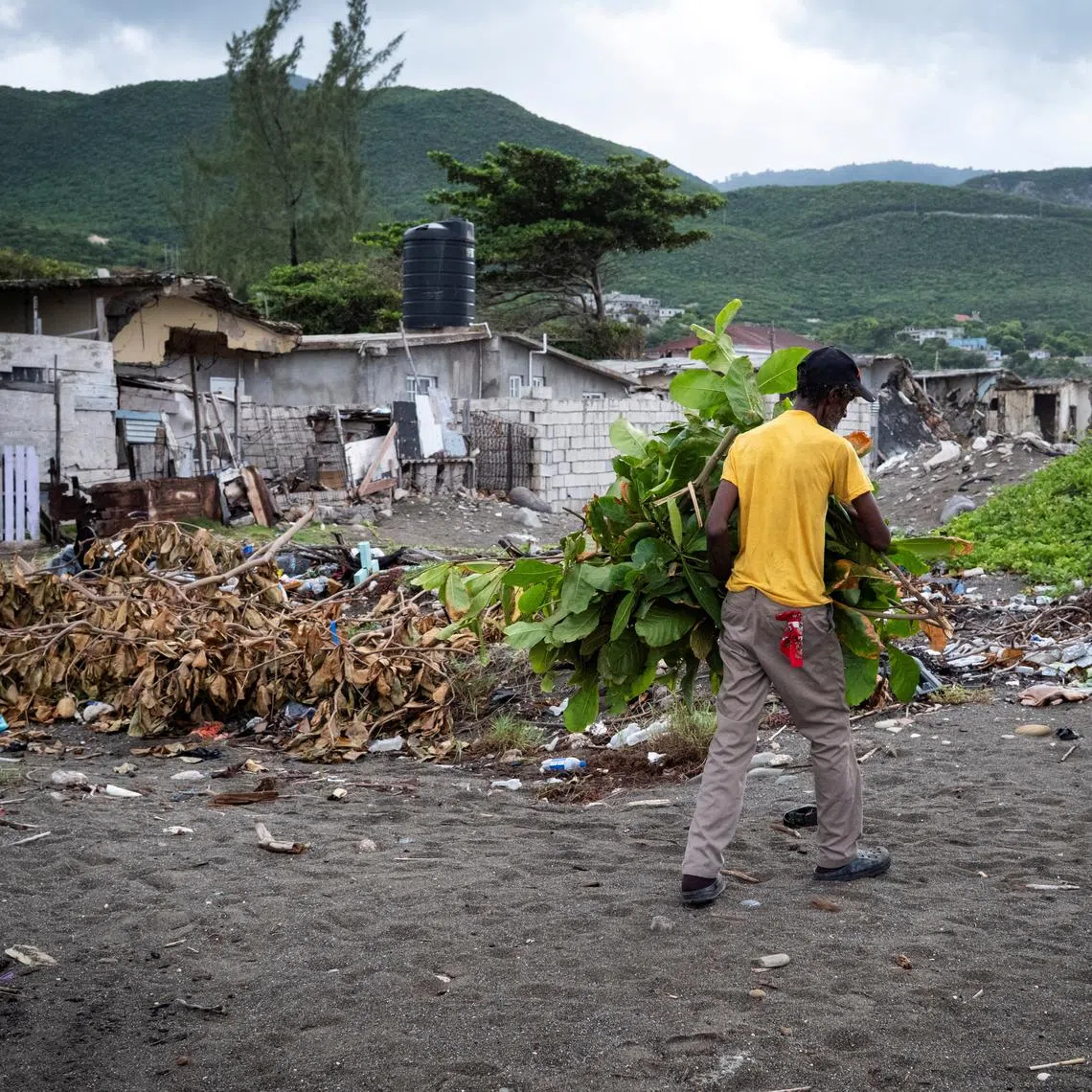 FILE PHOTO: A man removes tree branches in Caribbean Terrace neighborhood as Hurricane Beryl approaches, in Kingston, Jamaica, July 3, 2024. REUTERS/Marco Bello/File Photo