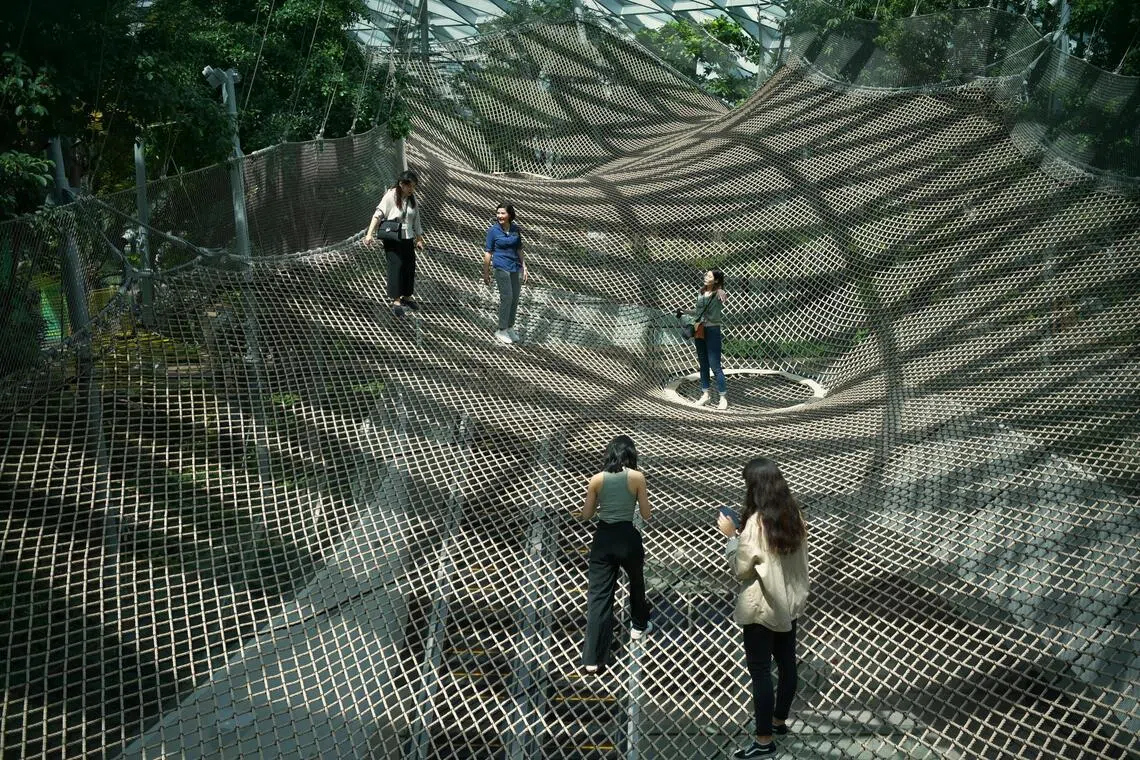 The Walking Net is a giant net suspended 25m above ground which visitors can walk on.  