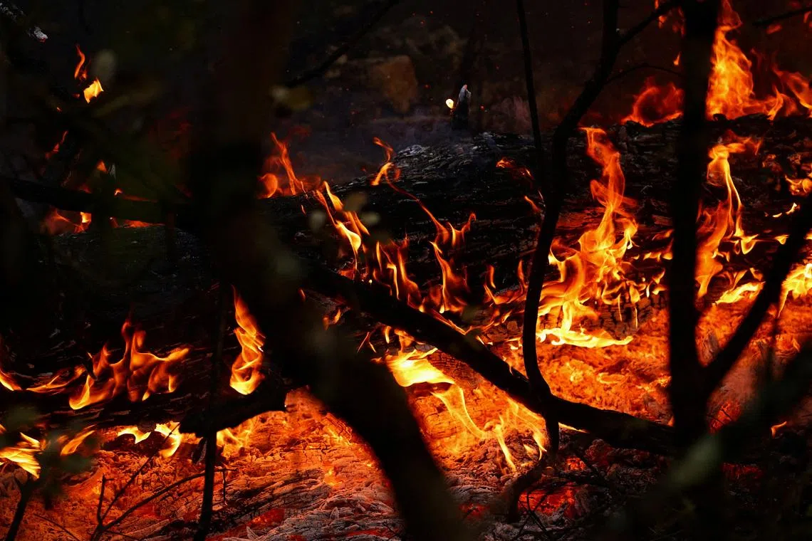 The fire devoured 2,550ha, an area roughly twice the size of London’s Heathrow airport.