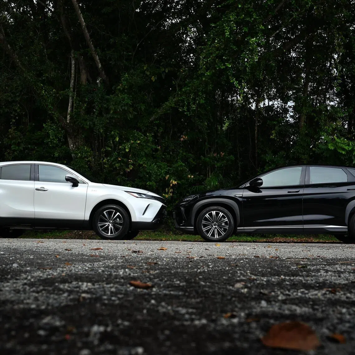 From left: Toyota Harrier and BYD Sealion 7 for motoring review photographed on Jan 21, 2026