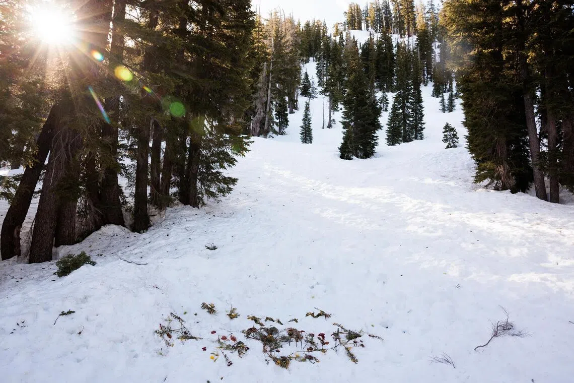 Internal report on California avalanche that killed 9 skiers in February assigns no blame
