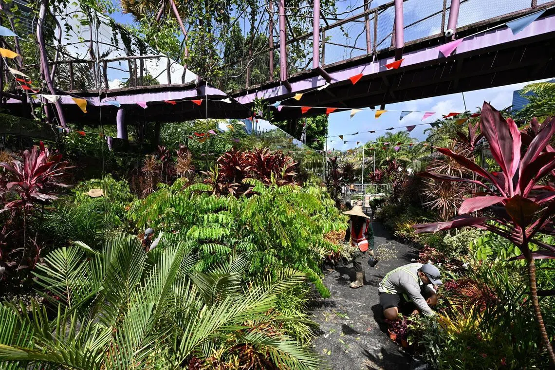 The Floral Infinity Mirror is a 14m immersive walkway between The Meadow and Supertree Grove.
