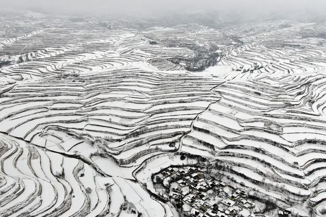 A aerial photo taken on Feb 8, 2023 shows terraced fields and houses after a snowfall in Longnan, in China's northwestern Gansu province. 
