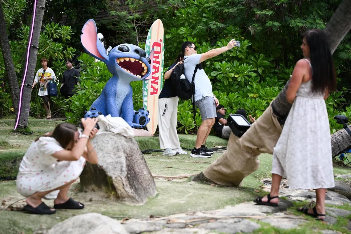 A Stitch installation from Lilo And Stitch, inspired by Disney Discovery Reef.