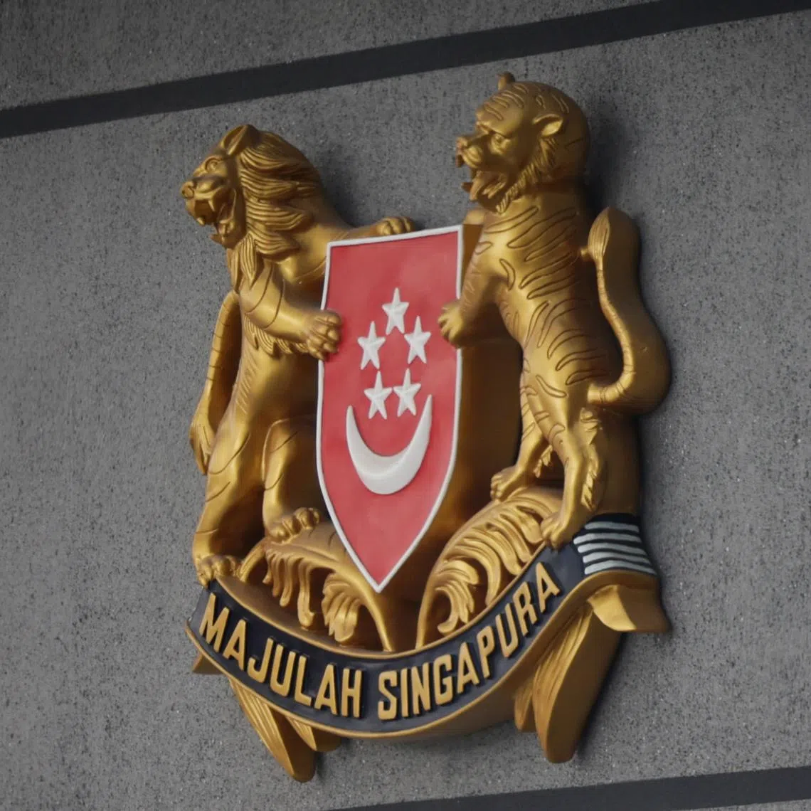 Defence Minister Chan Chun Sing said the system will be made more precise, to allow better characterisation of the medical fitness of servicemen.