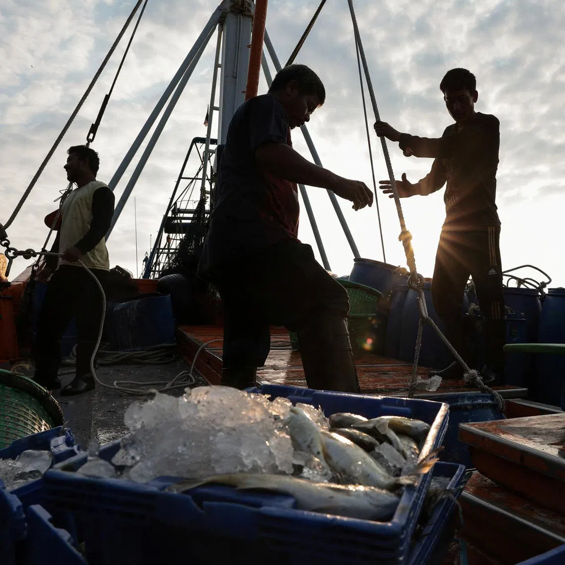 Fishermen transfer a container of catch from a trawler to a truck at a pier, as rising diesel prices have left many trawlers docked due to unprofitable operations, in Samut Sakhon province, Thailand, March 25, 2026.
