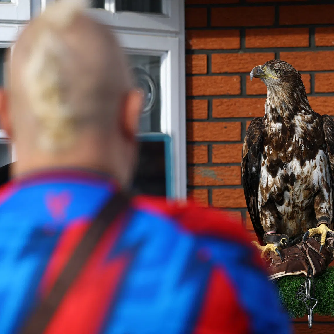 Crystal Palace’s American bald eagle mascot, Phoenix, outside the club’s Selhurst Park before a match.