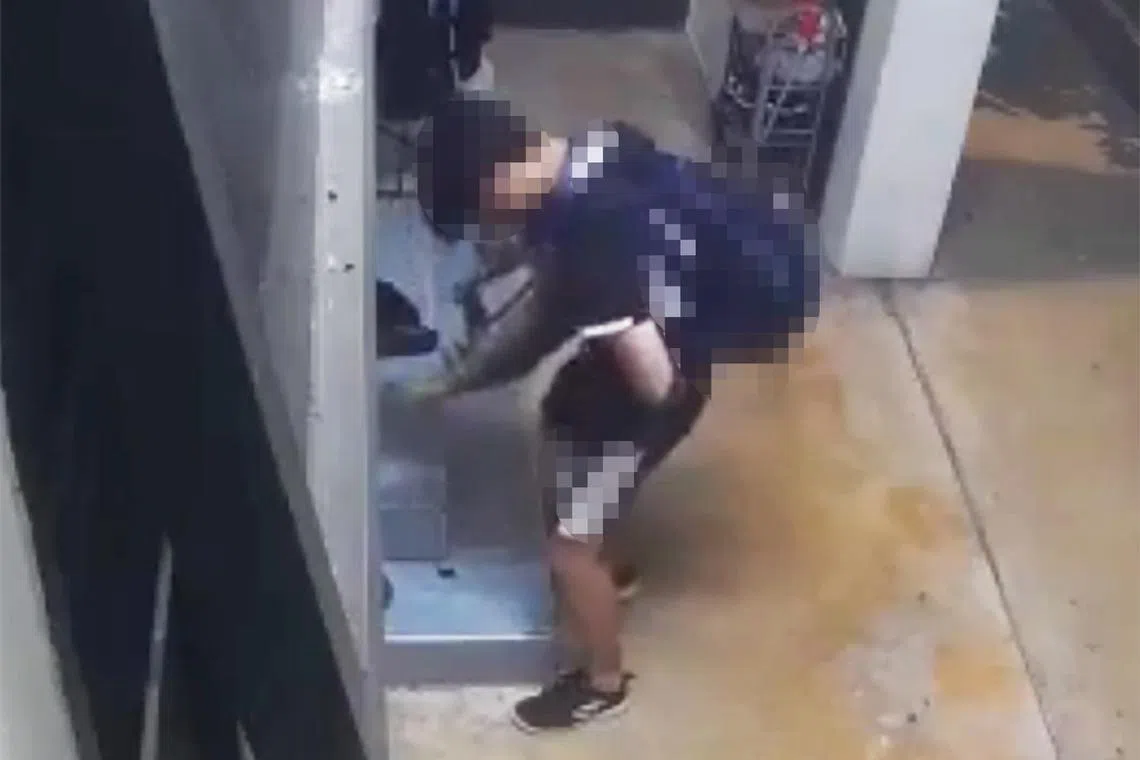 In a video that was circulated on April 10, a teenage boy is seen trying to perform obscene acts on a cat outside an HDB flat.