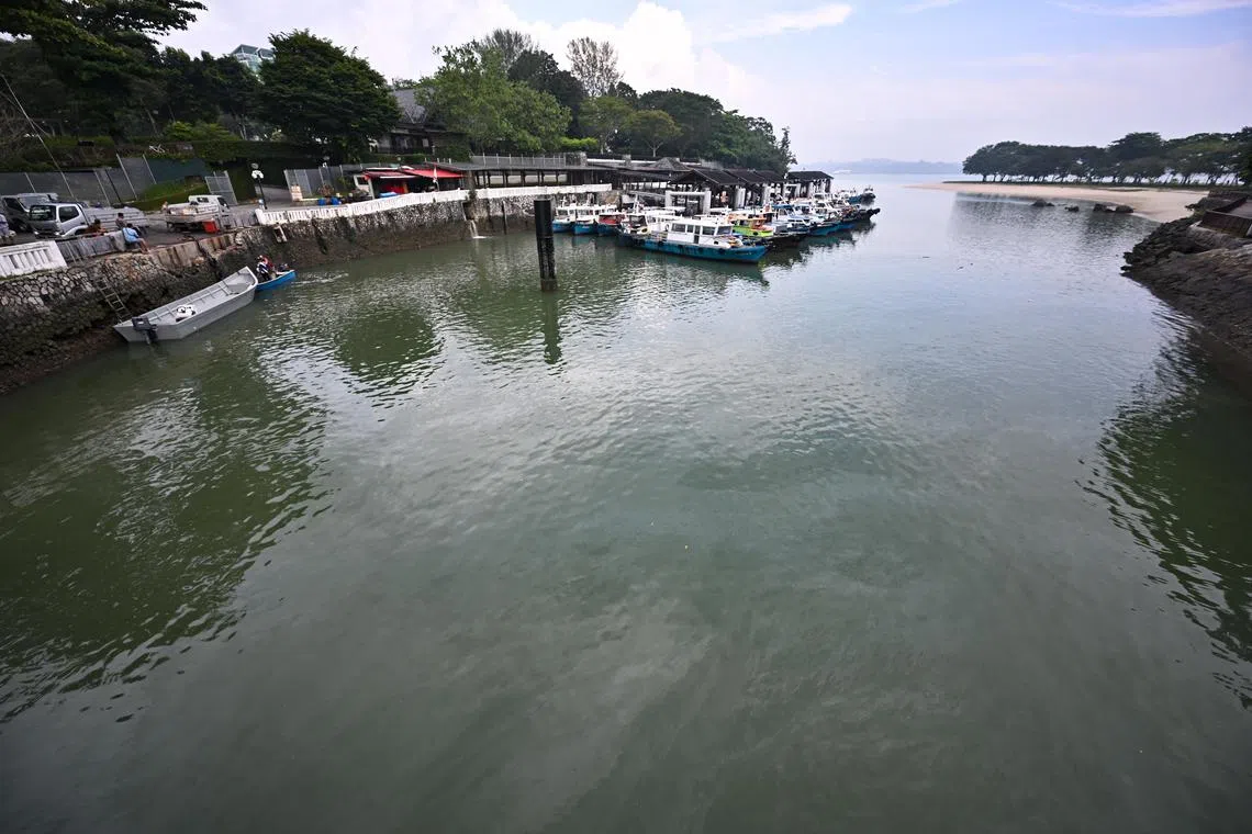 ST20240708-202476653181-Lim Yaohui-pixoilspill/
Oil sheen on the surface of the water around Changi Point Ferry Terminal at 9.20am on July 8, 2024.
Oil containment booms pre-emptively placed at sensitive biodiversity areas in the north-east of Singapore have been removed after consultation with oil spill consultants, Minister for National Development Desmond Lee said in a Facebook post on July 6.
The areas are: Pasir Ris Park, Coney Island Park, and Chek Jawa Wetlands on Pulau Ubin.
The booms were placed following a maritime accident at Pasir Panjang Terminal on June 14, in which a damaged cargo tank leaked oil into the sea.
Aside from boom removal, beachgoers are now permitted to return to Changi Beach for swimming and other water activities, the National Environment Agency (NEA) said in a Facebook post on July 6.
(ST PHOTO: LIM YAOHUI)