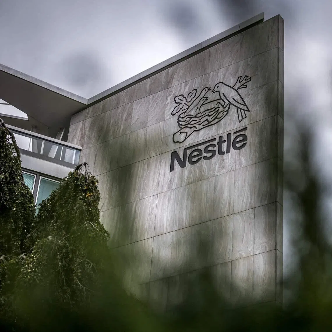 Nestle widened an infant formula recall to include a batch of Guigoz, contradicting analyst expectations that no further withdrawals would be needed from the Swiss group.