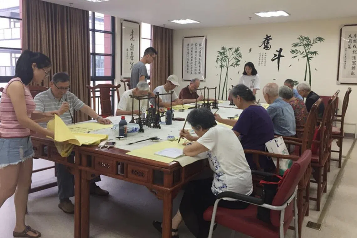 The success of the programme spurred the nursing home to launch its third recruitment drive for about 15 to 20 companions.