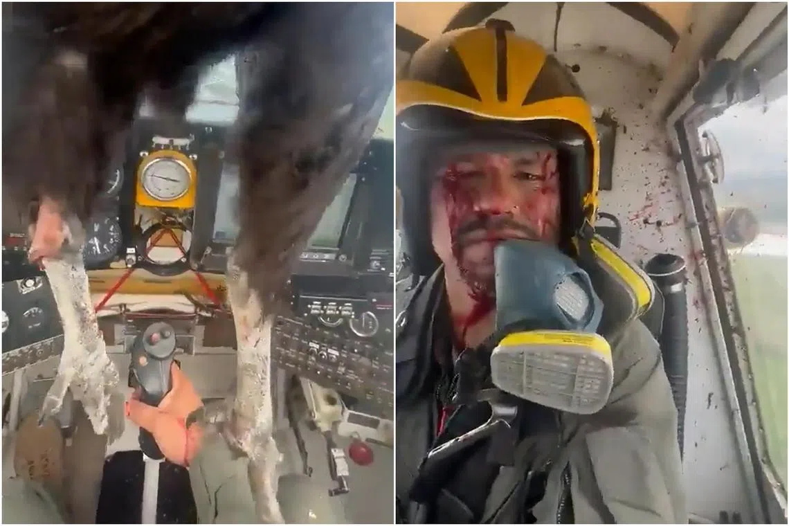 Ecuadorian pilot Ariel Valiente managed to film the situation after a large bird smashes into his plane's cockpit.