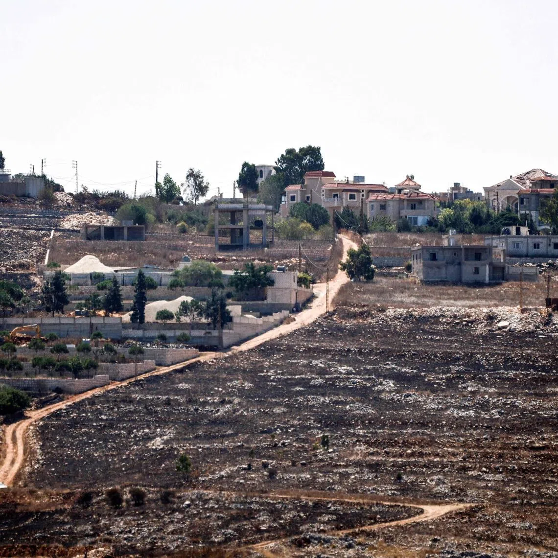 Burnt fields of the border village of Mais al-Jabal and homes destroyed by the Israeli military on Aug 11.