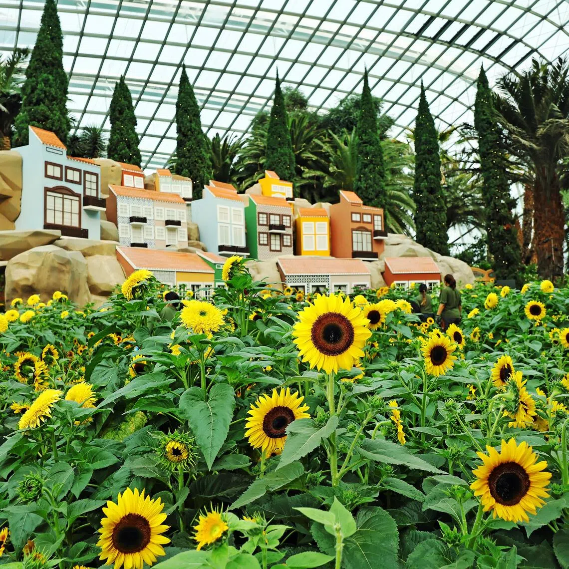 Golden sunflowers framing a 12m miniature of Alfama, a hillside enclave of vivid facades in Lisbon, at Gardens by the Bay’s Flower Dome.
