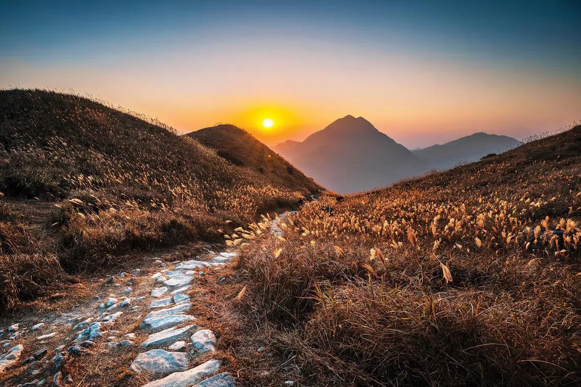 The challenging hike up Hong Kong’s third-highest peak on Lantau Island – Sunset Peak – rewards daring and dedicated hikers with amazing views of the ocean, islands, and beaches below. 