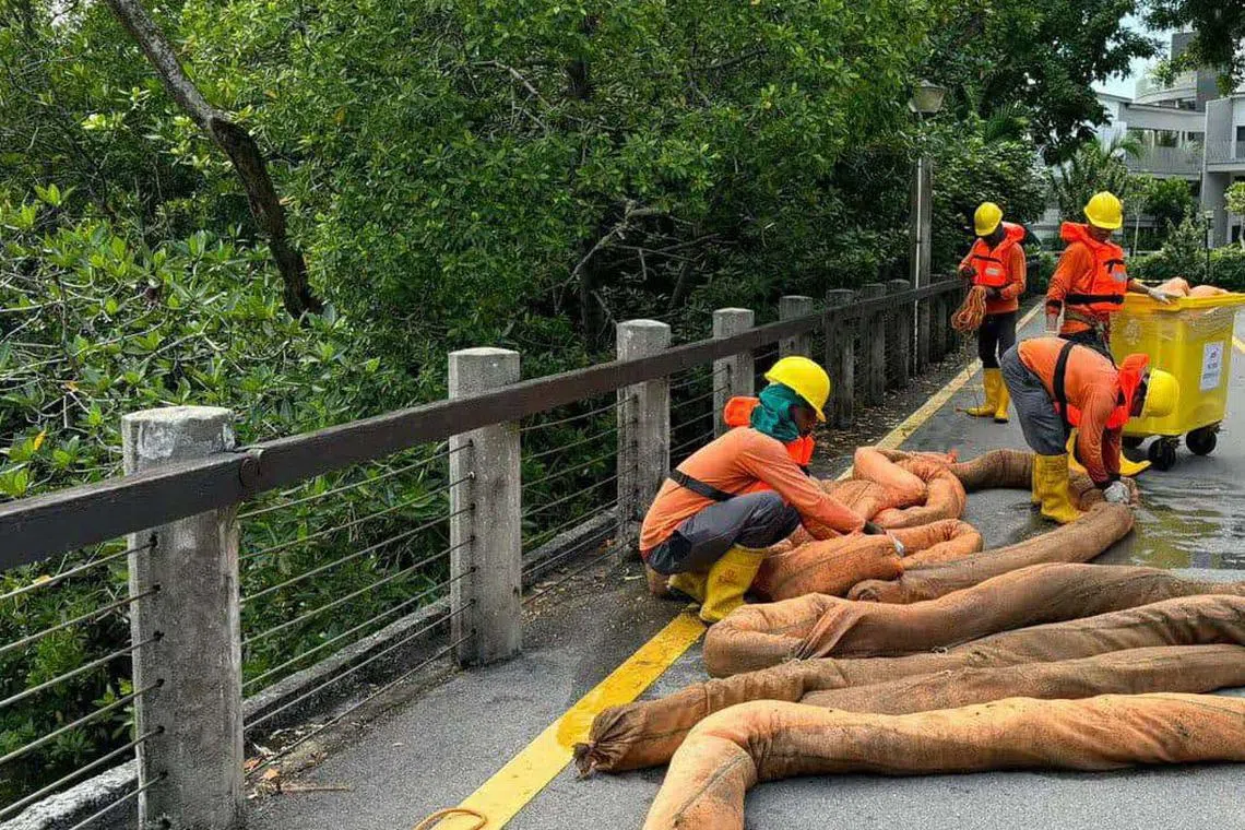 Oil containment booms, which are barriers used to limit the spread of oil, were deployed in various areas to absorb the oil.