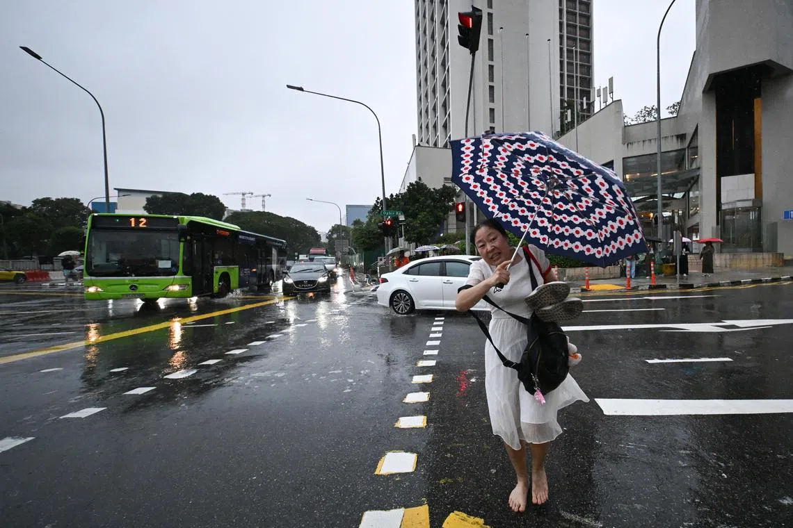 A pedestrian walking barefooted and carrying umbrella under the rain to cross Ophir Road on Jan 10, 2025.