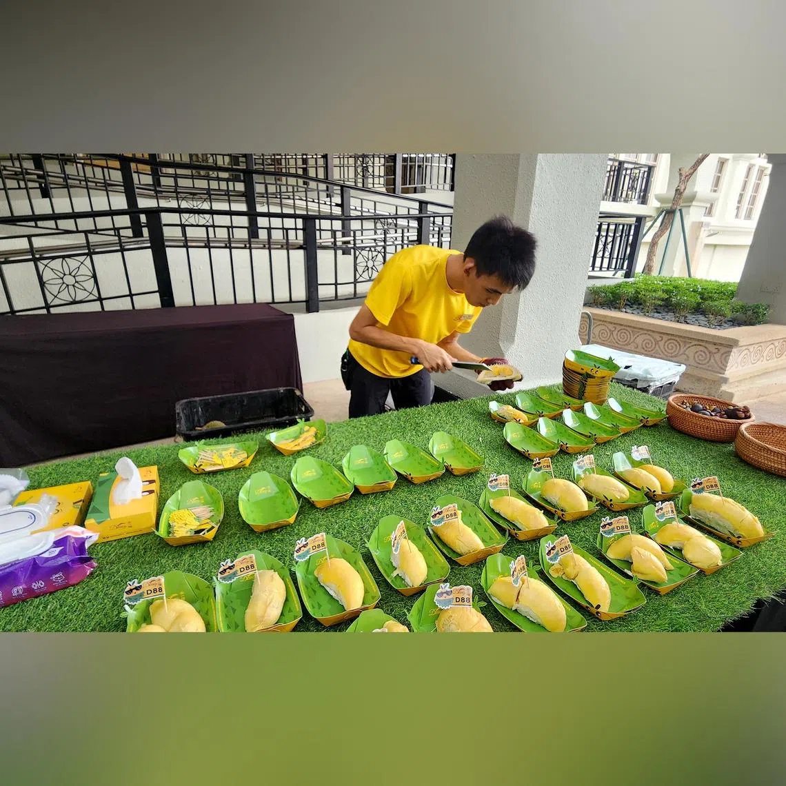 For many Malaysians, this durian season, a feast costs less than a cafe lunch.