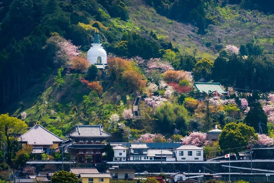 Japan start-up expands ‘granny business’ to put elderly women to work
