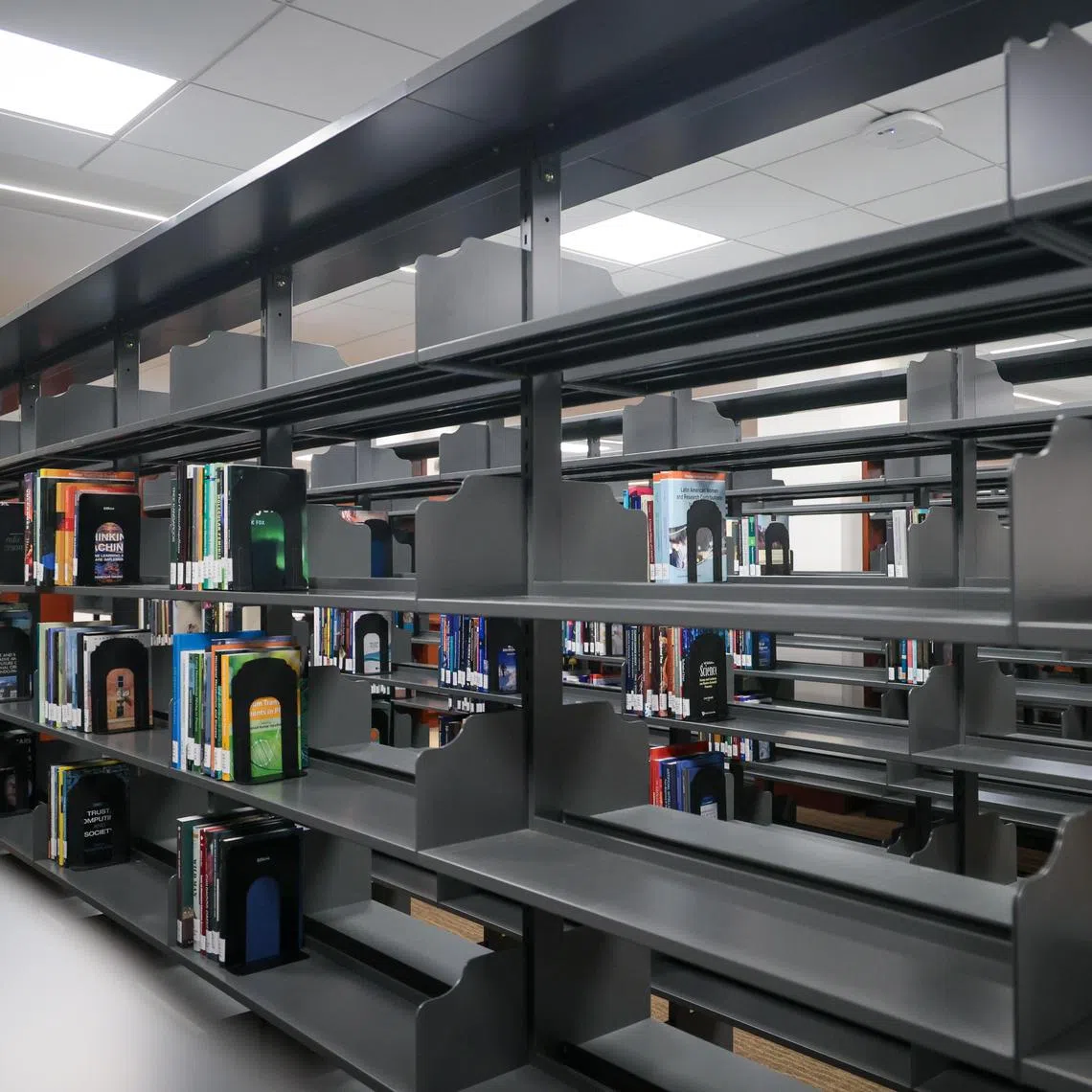 DVDs, in addition to 500 books, were destroyed by NUS Libraries.