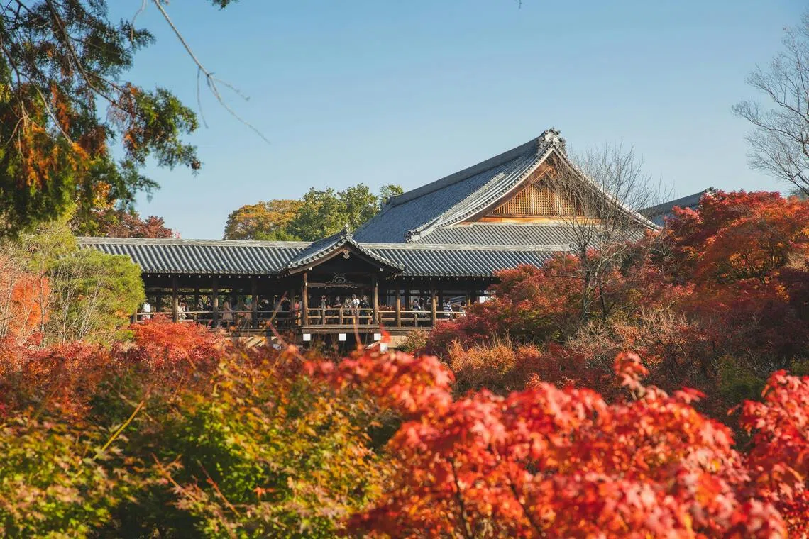 According to a forecast, the temperature should remain relatively high in October before dropping in November due to cold air.