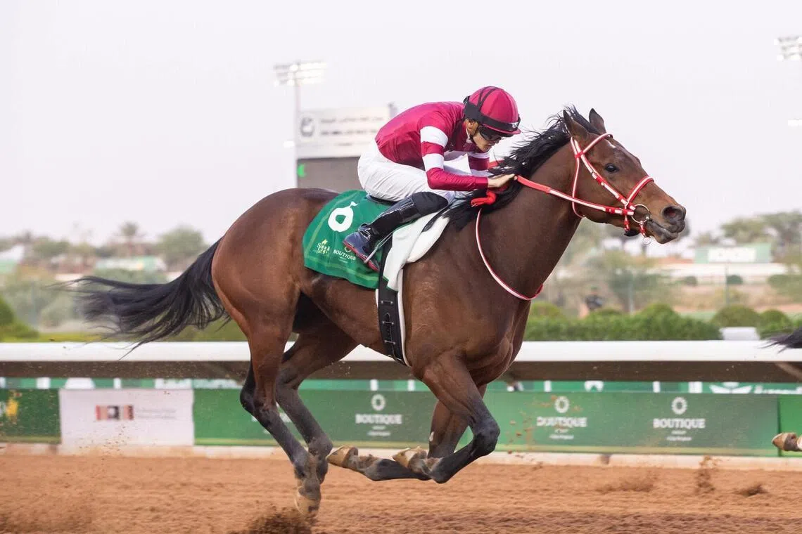 Forever Young (Ryusei Sakai) winning the Group 3 Saudi Derby (1,600m) in 2024. 