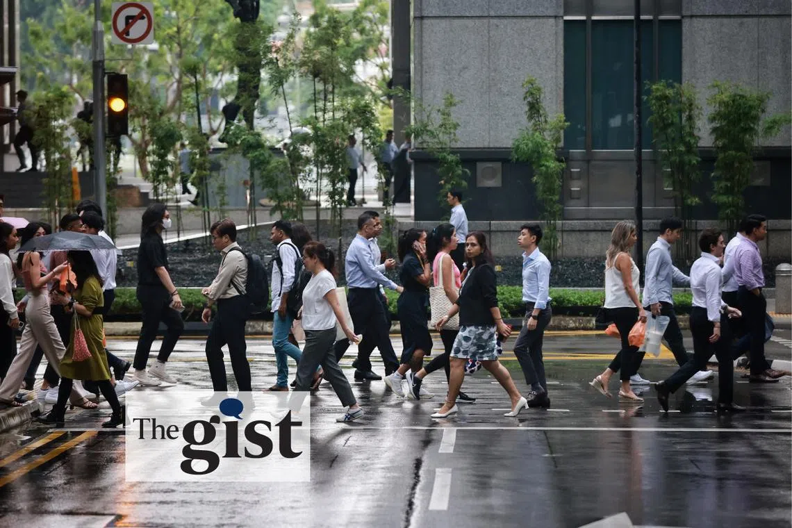 A new re-employment scheme is being designed for those who have lost their jobs, to help them make ends meet. 