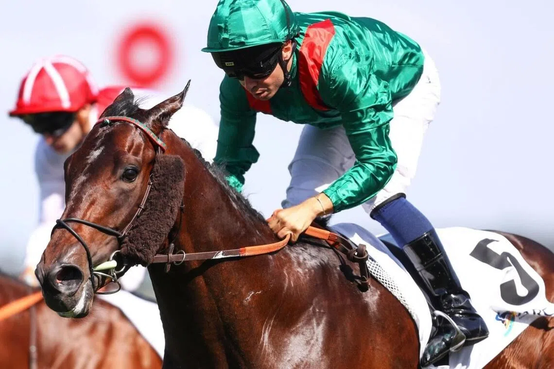 Samangan - The Aga Khan Studs-owned Samangan (Mickael Barzalona) stamping his authority in the Group 1 Prix Maurice de Gheest (1,300m) at Deauville on Aug 9.

PHOTO: SCOOPDYGA