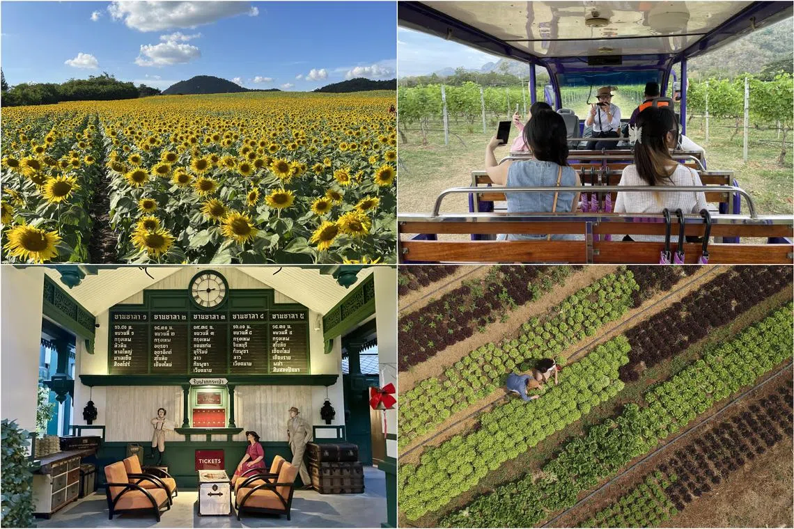 Khao Yai, located a three-hour drive from Bangkok, is a preferred weekend getaway for affluent city folk.