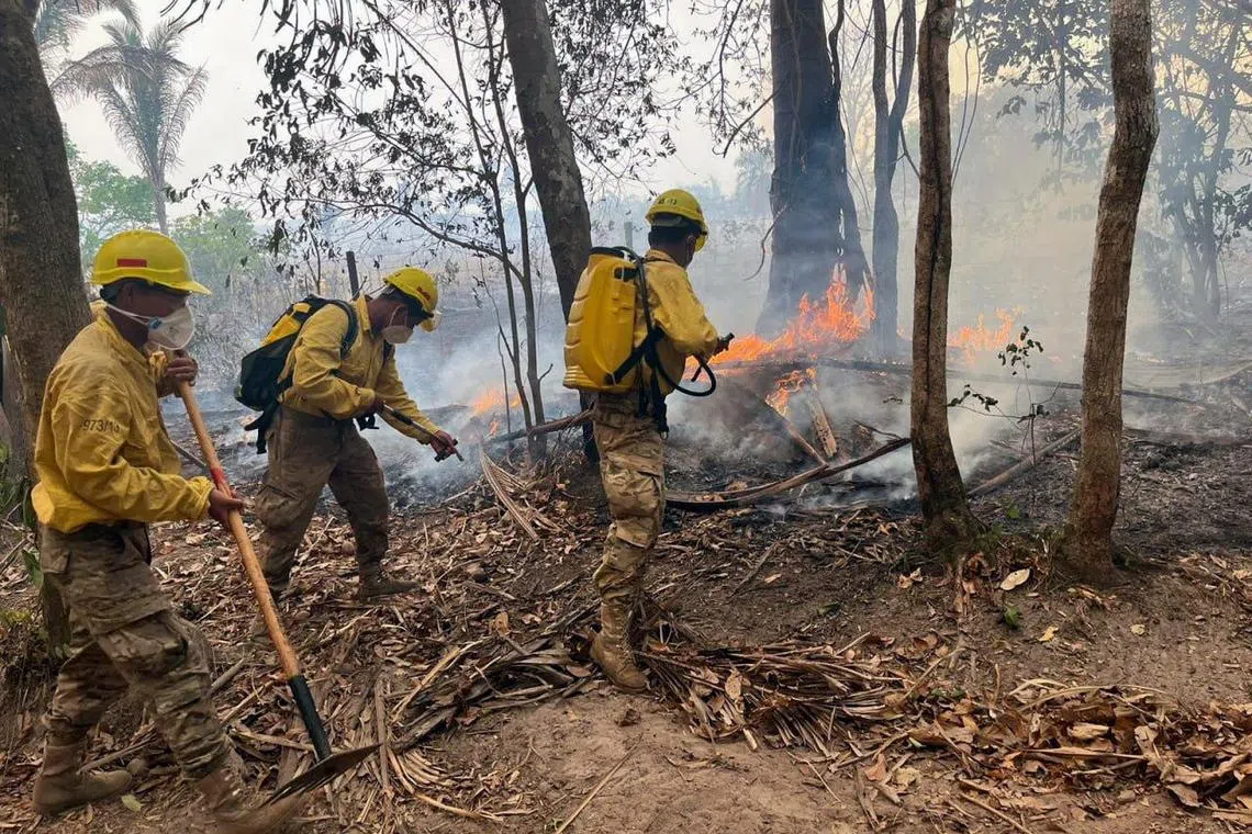 This handout picture released by the Bolivian Civil Defense shows Bolivia's Armed Forces forest firefighters fighting a wildfire in the area of Yaguaru, Santa Cruz department, Bolivia, on October 3, 2024. On September 30, the Bolivian government decreed a "national disaster" due to the unprecedented forest fires affecting mainly Santa Cruz, the country's richest and most populated department. (Photo by Handout / Bolivian Civil Defense / AFP) / RESTRICTED TO EDITORIAL USE - MANDATORY CREDIT "AFP PHOTO / BOLIVIAN CIVIL DEFENSE" - NO MARKETING NO ADVERTISING CAMPAIGNS - DISTRIBUTED AS A SERVICE TO CLIENTS