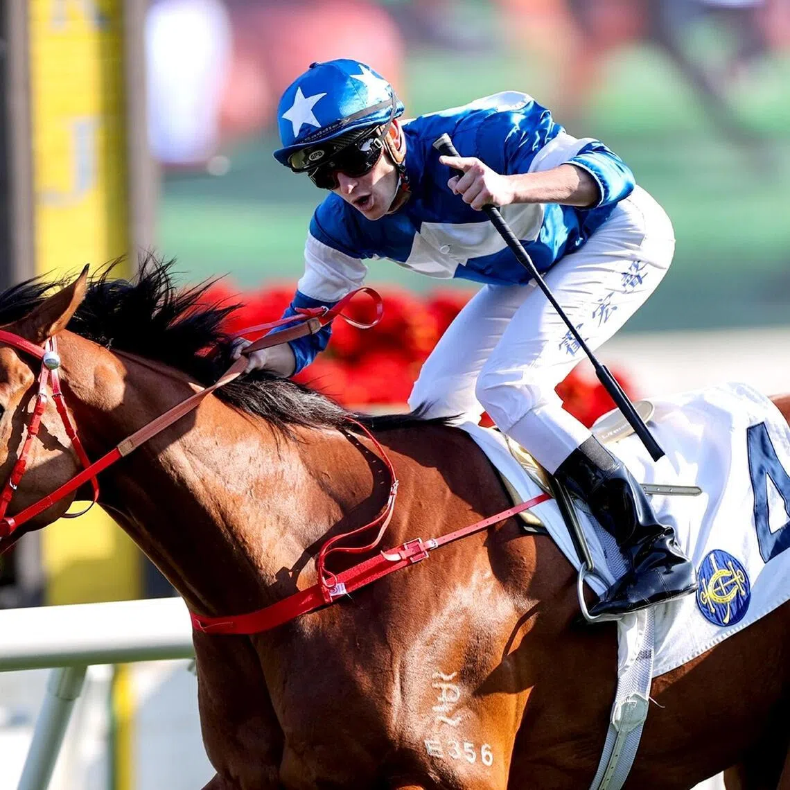 Luke Ferraris steering veteran sprinter Lucky With You to a win in the Class 1 TVB Cup Handicap (1,200m) at Sha Tin on Feb 9, 2025. He has since contested Group events with merit but will be better suited by the TVB Cup Class 2 Handicap (1,200m) at Sha Tin on Feb 14.